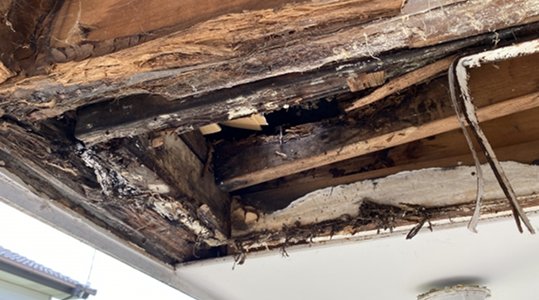 柱・梁の腐食